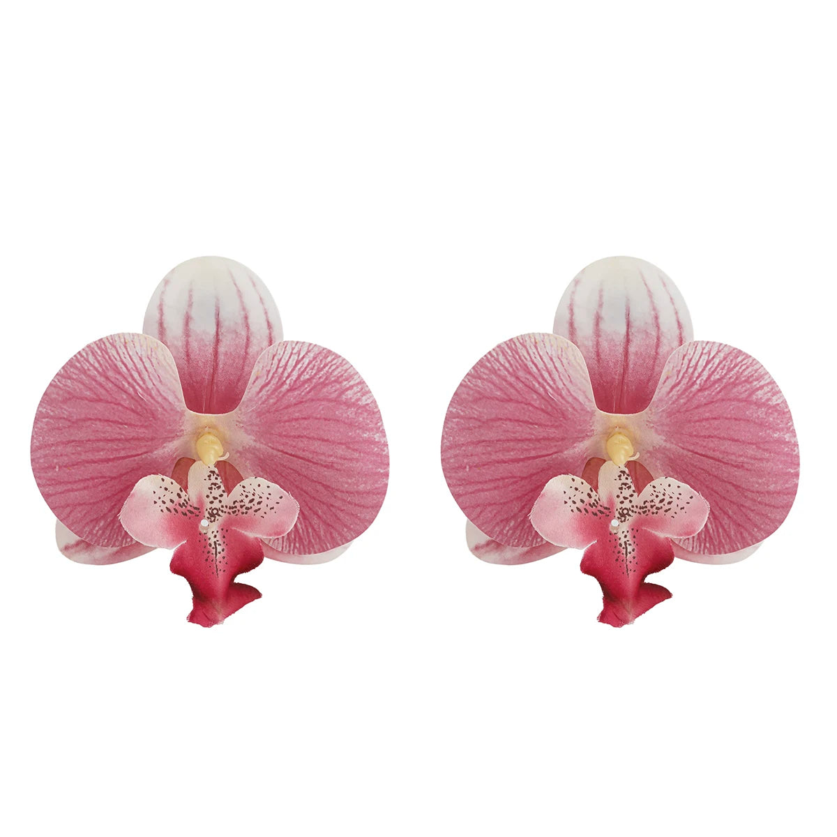 Orchid Elegant