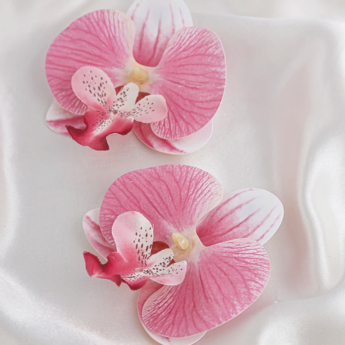 Orchid Elegant